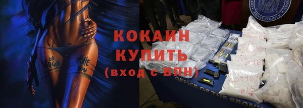 ешки Тайга