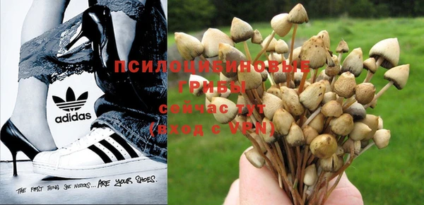 ешки Тайга