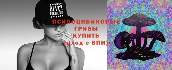 меф Сясьстрой
